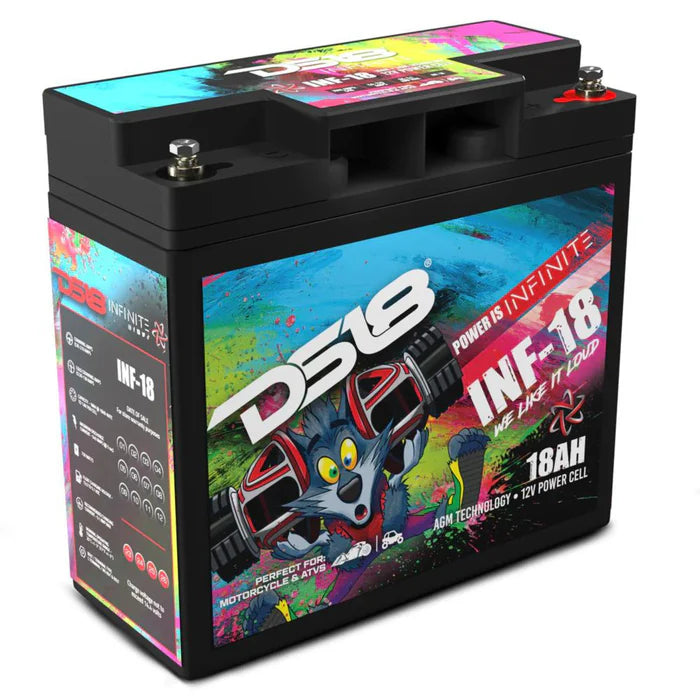 DS18 12V Battery 18 AH 750 Watts